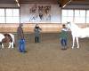 Coaching mit Pferden Ausbildung