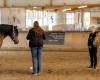 spirituelle Ausbildung coaching Pferde
