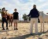 Pferde Coaching Ausbildung